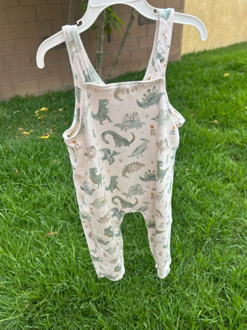 Angel Dear Dino Print Overalls - Green and Cream